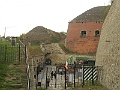 DSCN0631