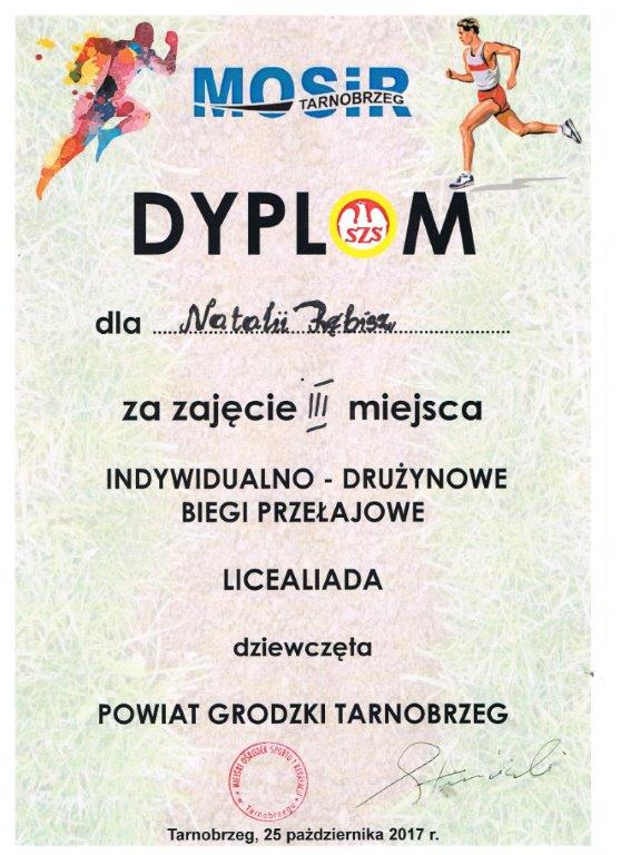 dyplomNataliiRębisz